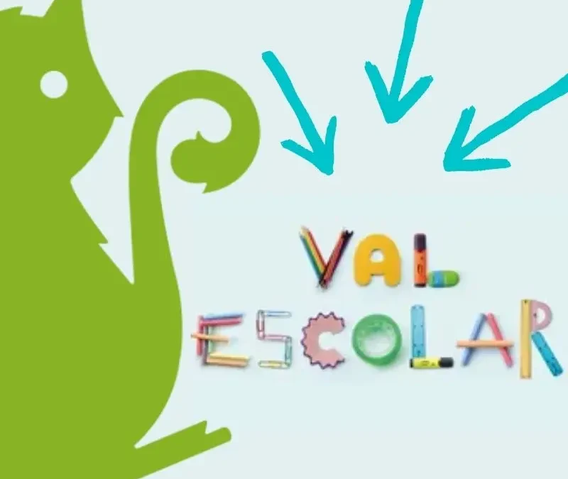 El Gat Pelut i la Campanya Val Escolar, alguns aclariments